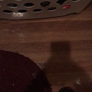 Meet your Posher, Diana